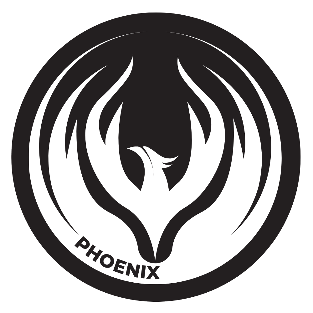 Cosmic CEO™ Archetypes | Phoenix