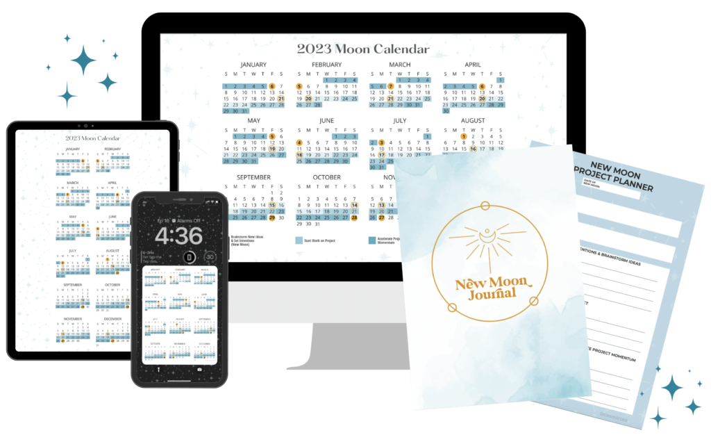 new-moon-project-planner-cosmic-ceo